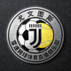 尤文图斯雷速网球体育直播俱乐部队徽